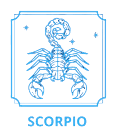 A beautiful depiction of the zodiac wheel showing all zodiac signs
